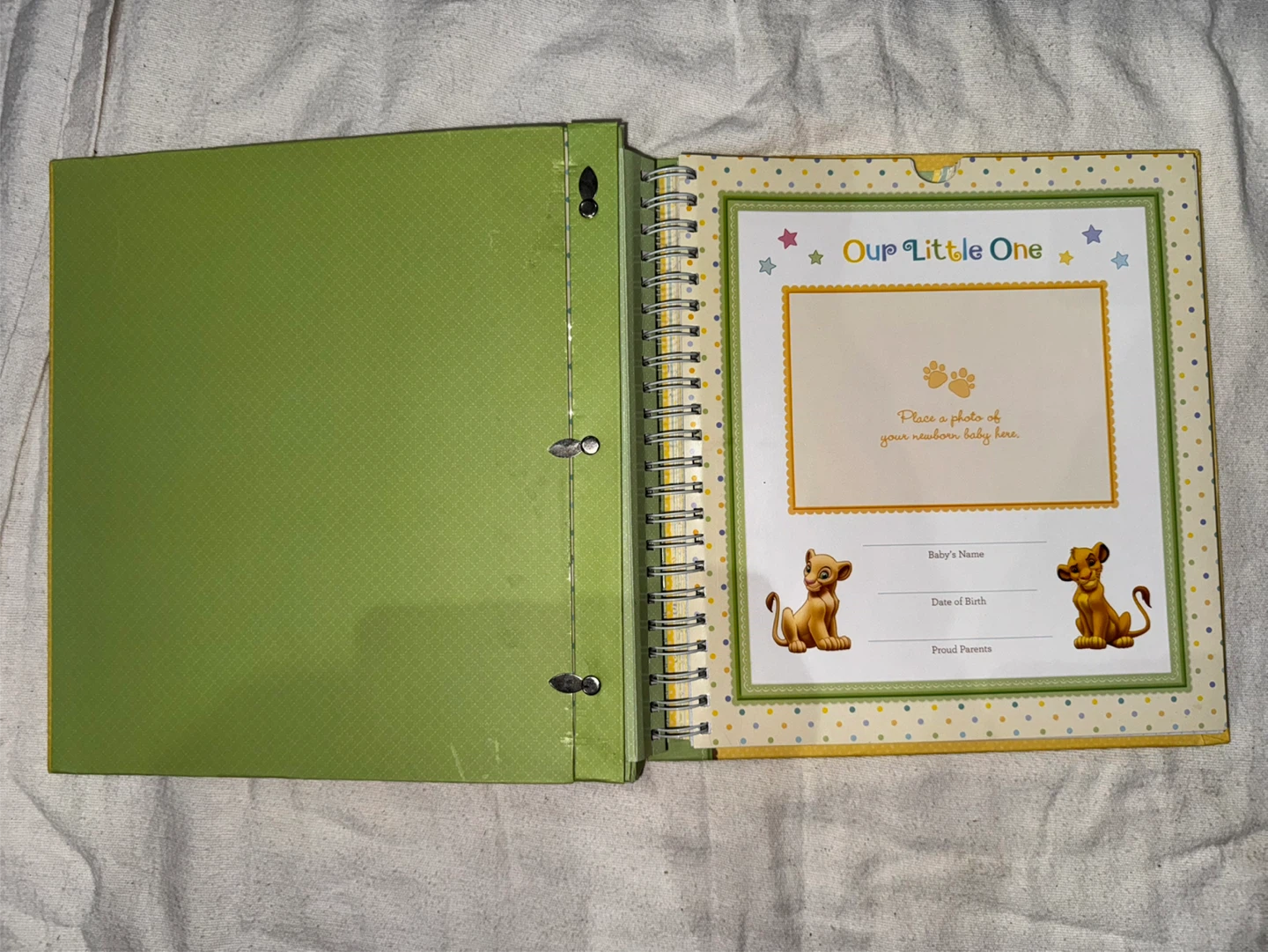 Disney Baby's First Year Memory Book - photo 5