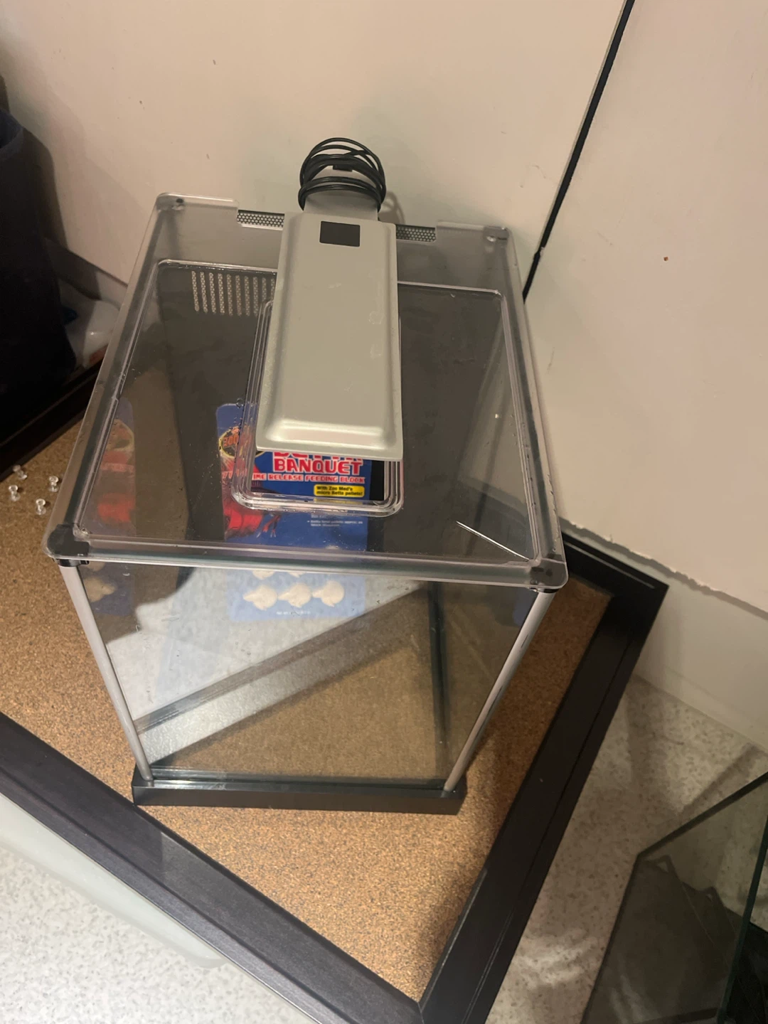 Betta Fish Tank Kit - photo 2