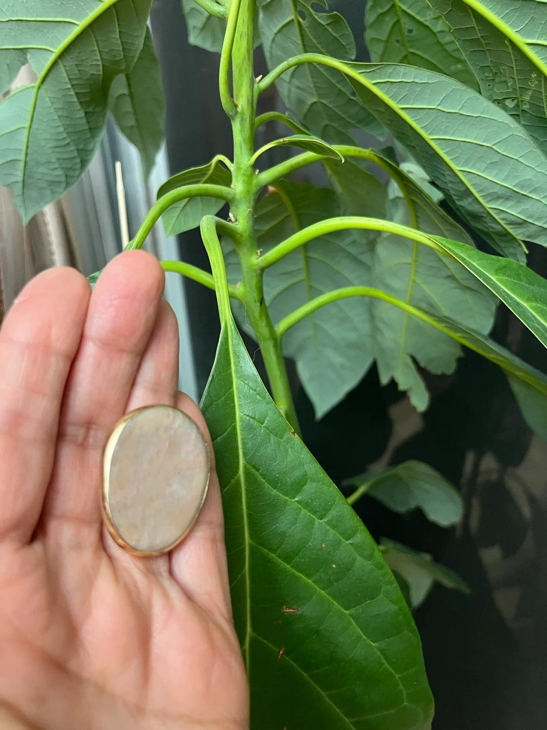 Large natural Stone Statement Ring- Adjustable