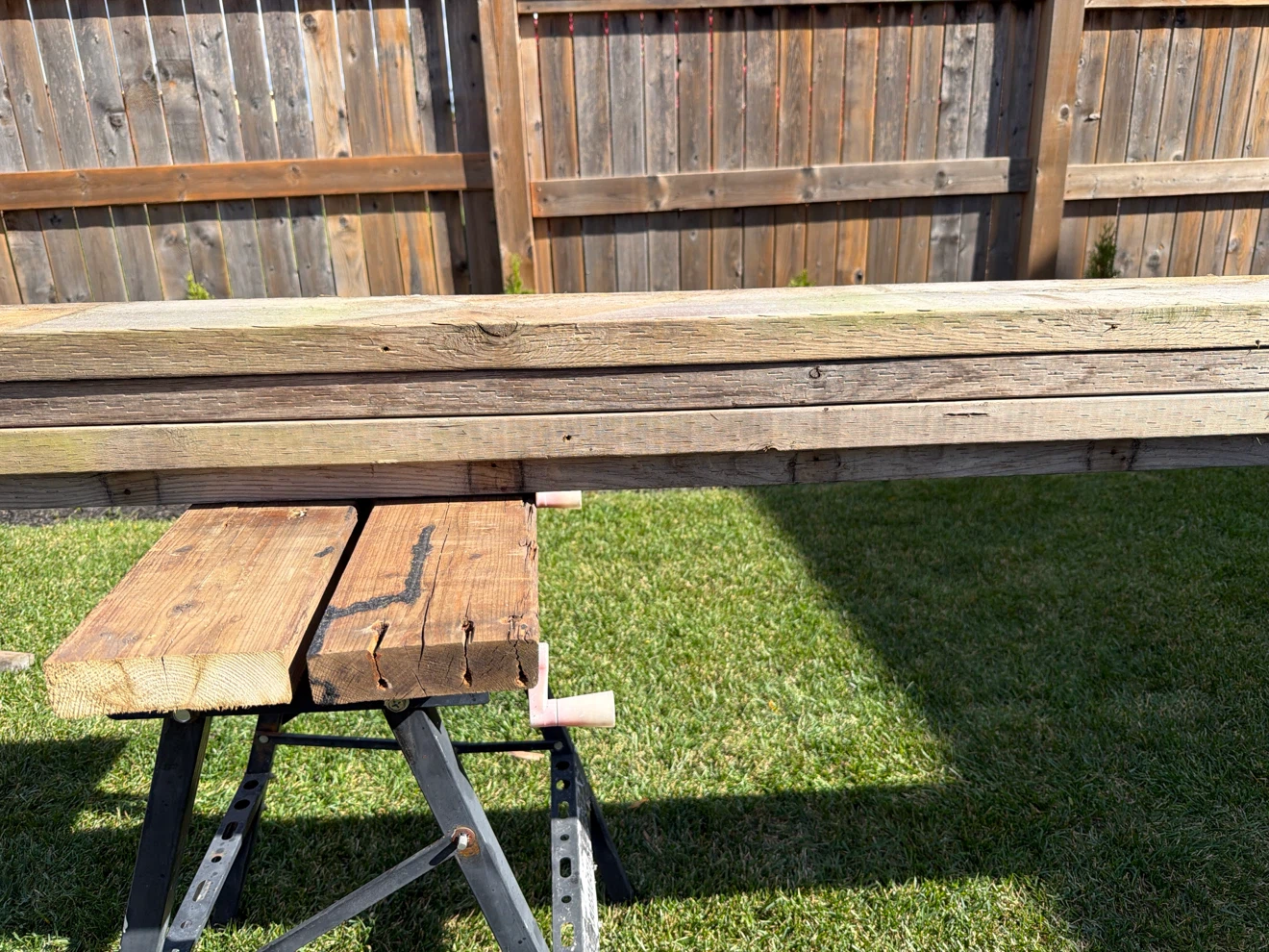 pressure treated lumber