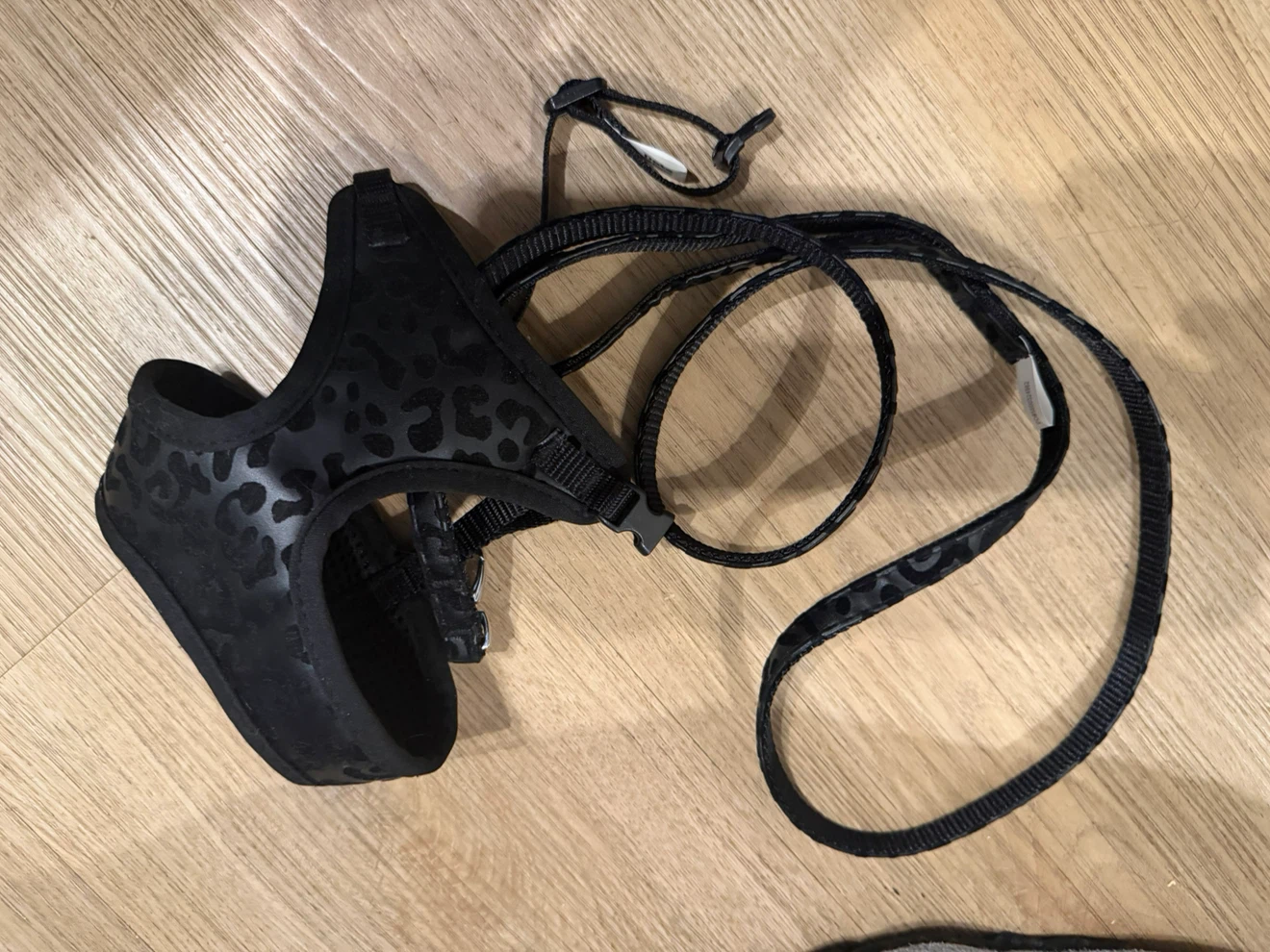 Black Leopard Print Pet Harness and Leash Set