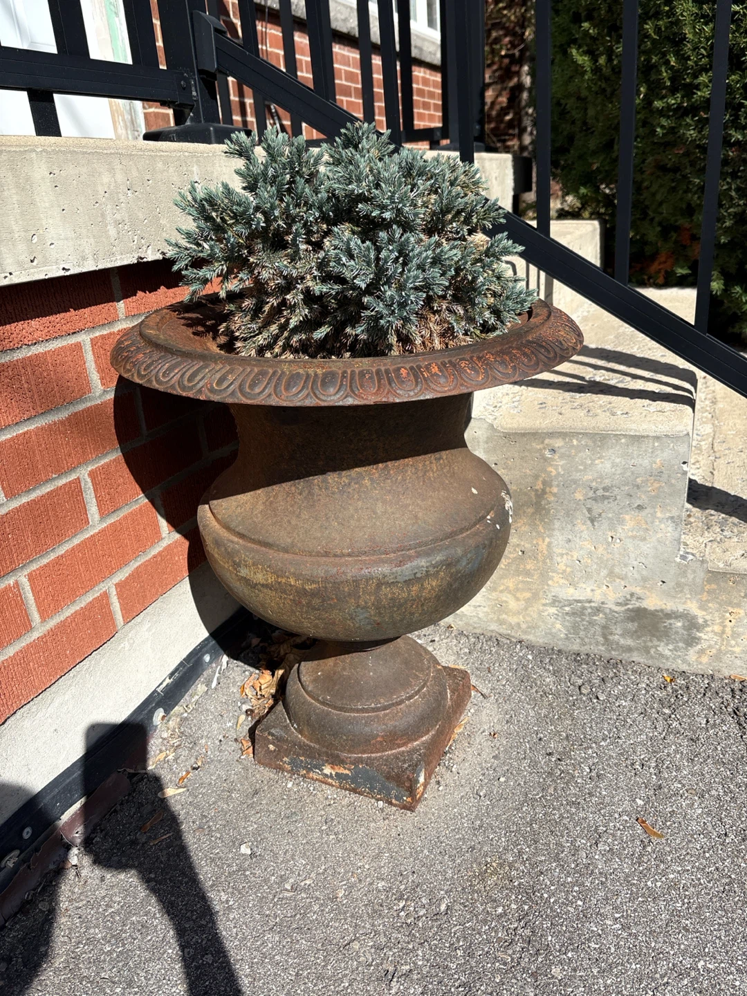 Cast Iron Garden Urn Planter