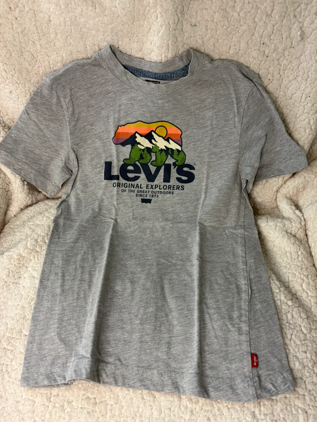 Levi's Graphic T-Shirt Gray Size L(10/12)