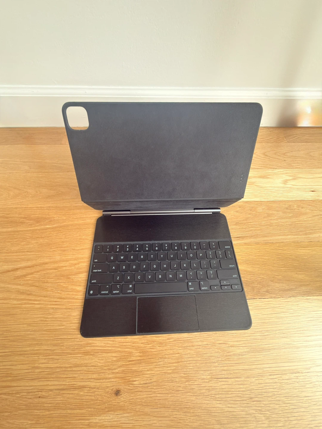 iPad Pro 13-inch AND Apple Magic Keyboard - photo 5