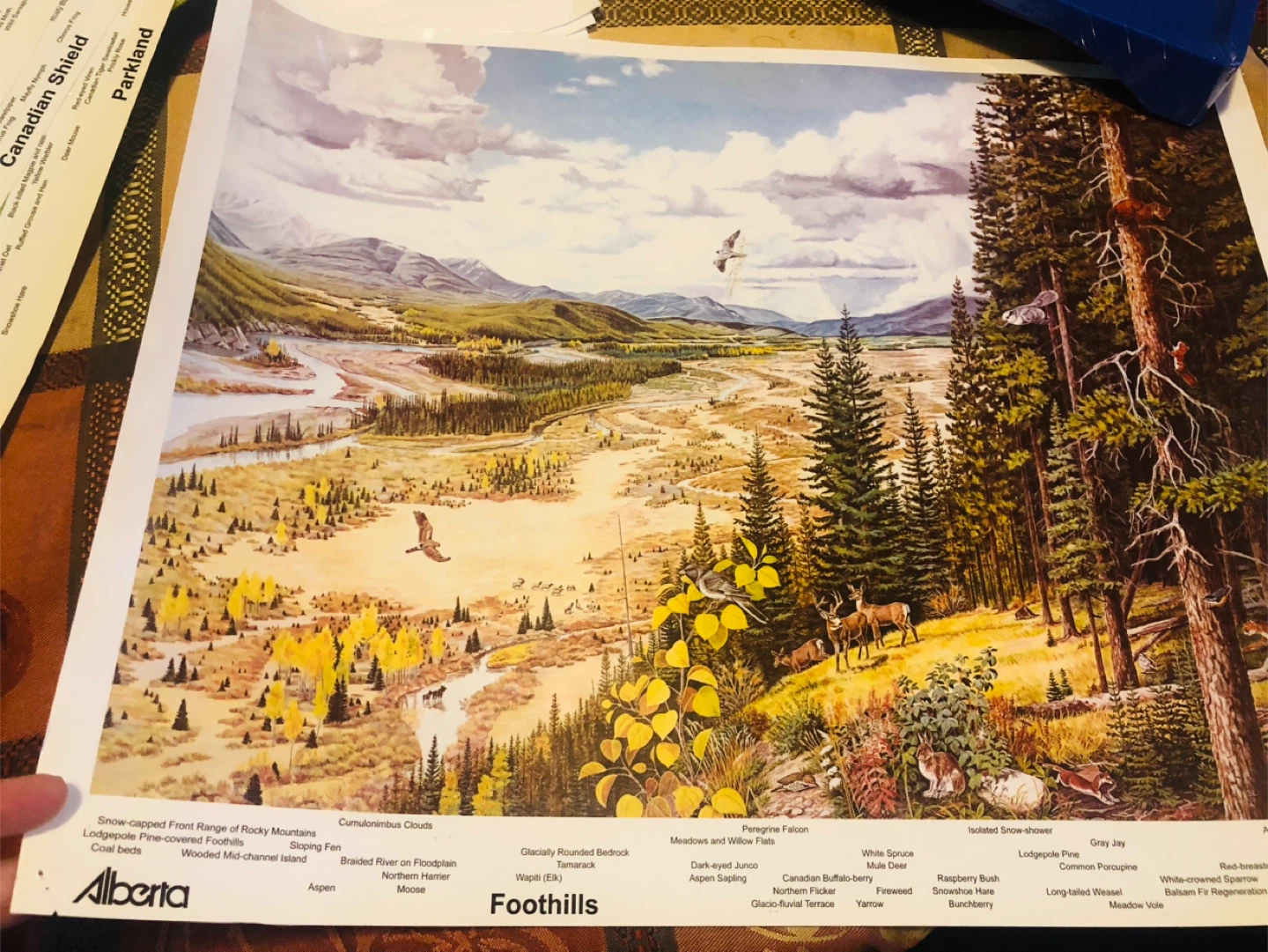 Set of 6 Alberta Ecosystem Education Posters