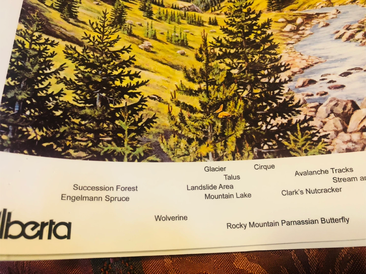 Set of 6 Alberta Ecosystem Education Posters - photo 3