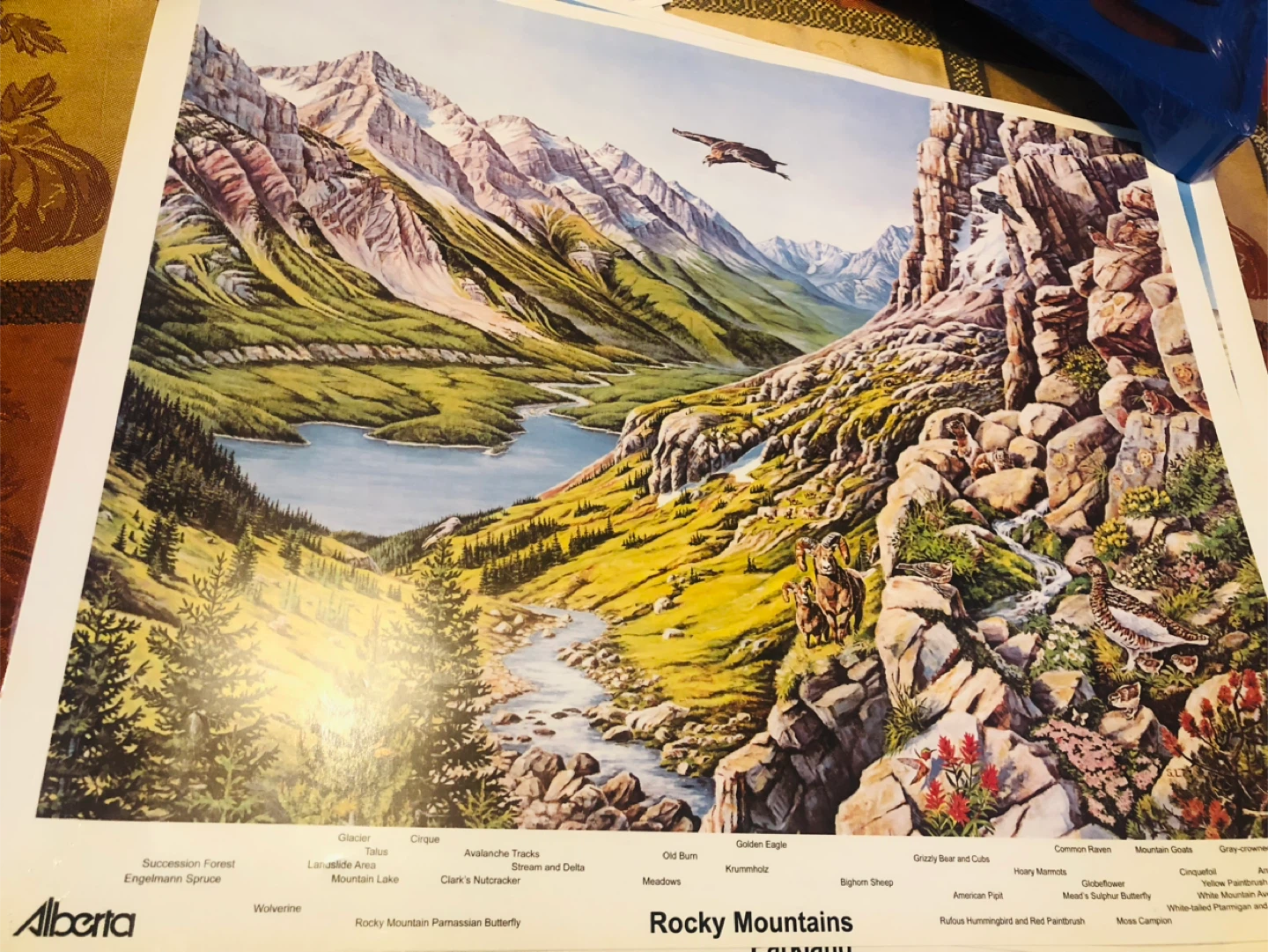 Set of 6 Alberta Ecosystem Education Posters - photo 4