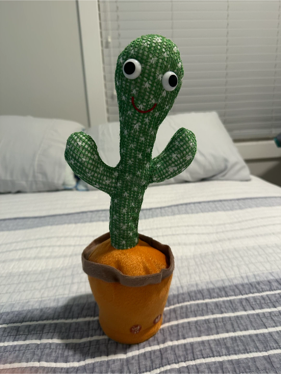 Dancing Singing Cactus Toy