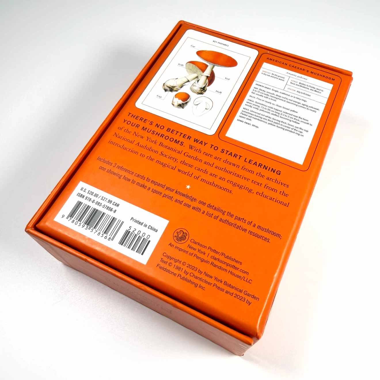 New York Botanical Gardens Mushroom ID Flash Cards - photo 4