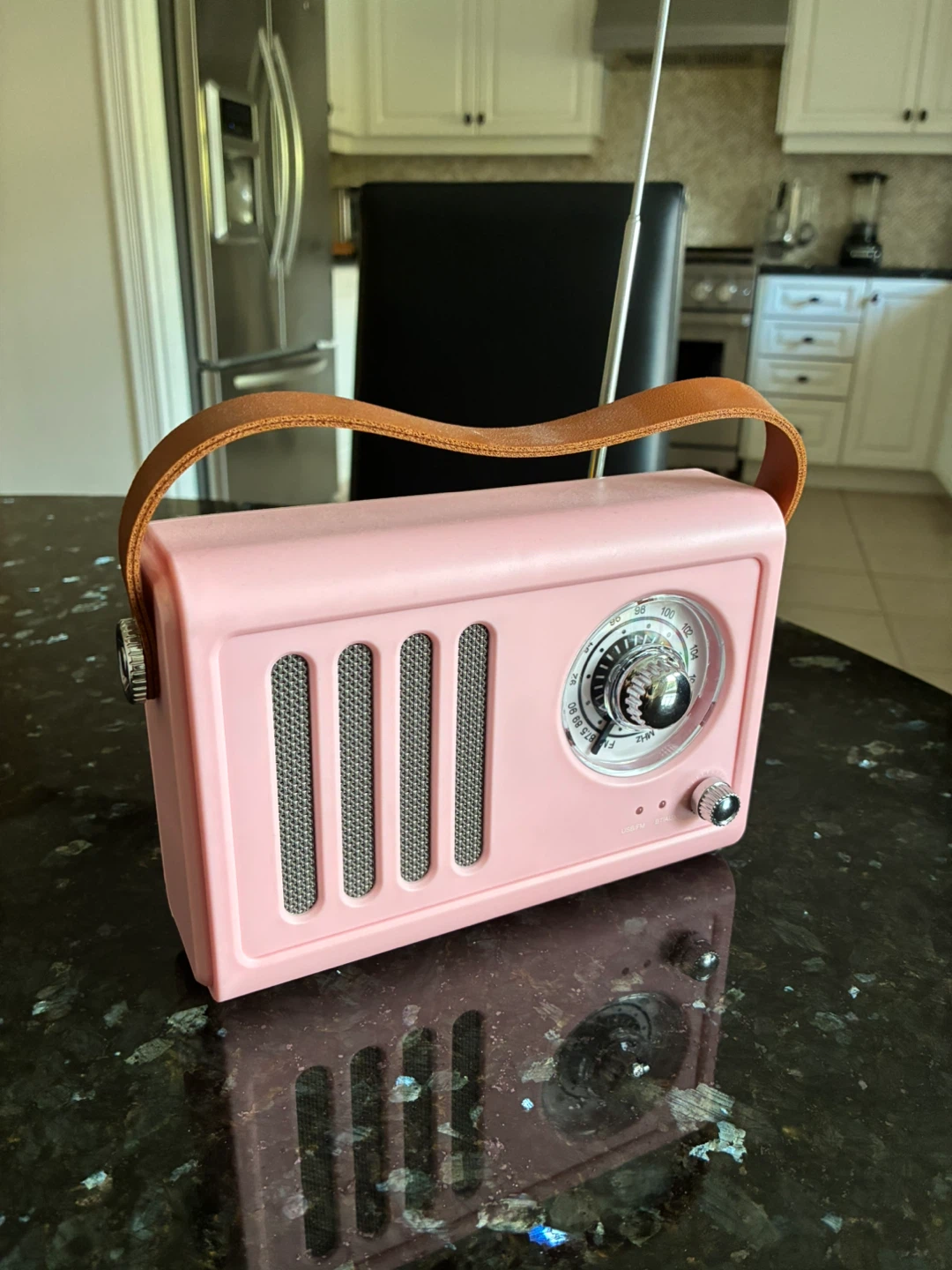 Pink Portable Retro Bluetooth Speaker and FM Radio - photo 2