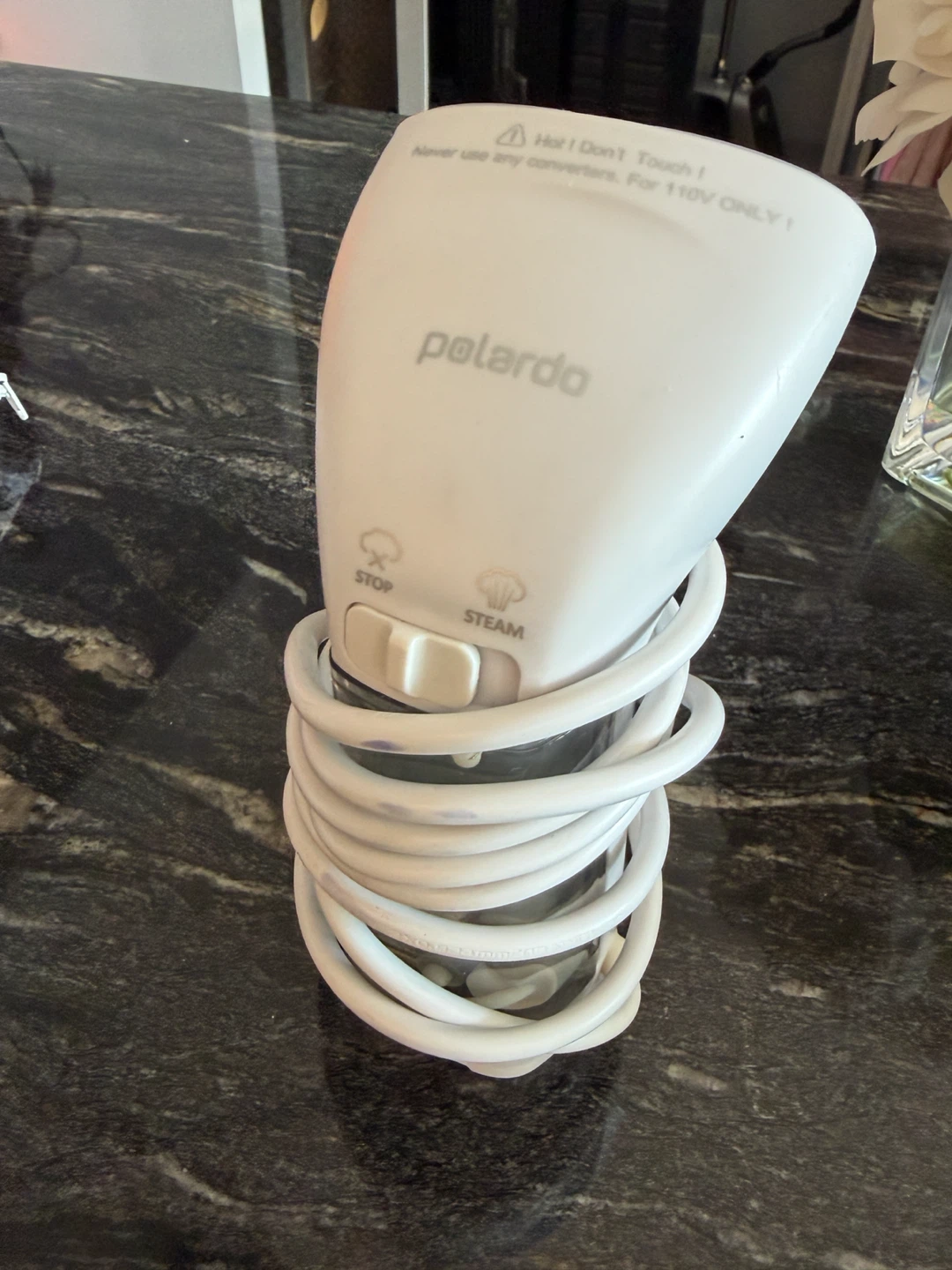 Polardo Handheld Garment Steamer