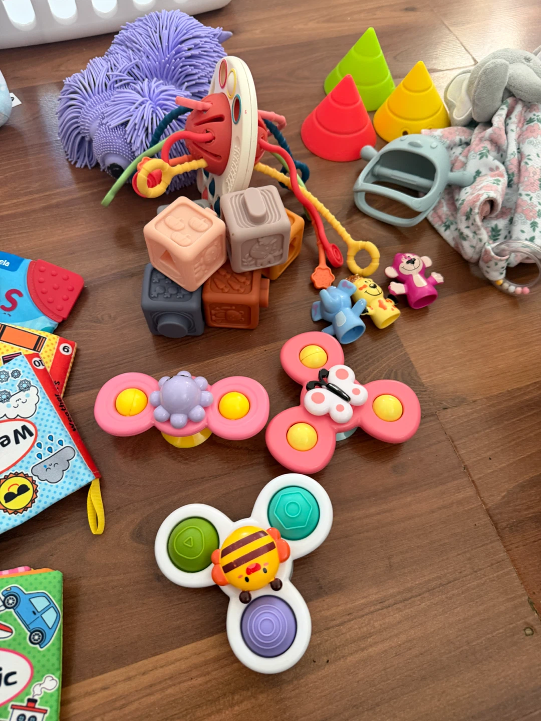 Assorted Baby Sensory and Fidget Toy Set