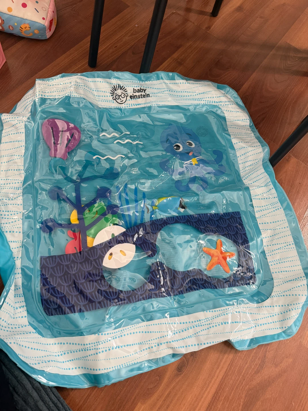 Baby Einstein Water Mat