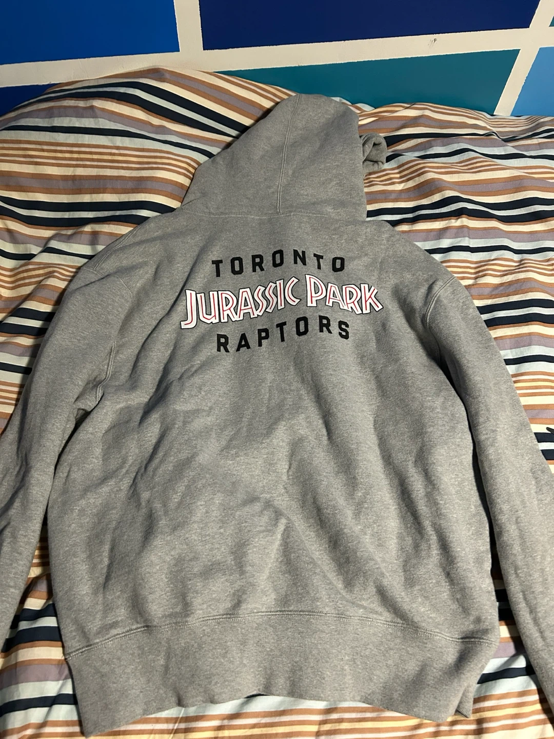 OVO x Jurassic Park hoodie size L - photo 2