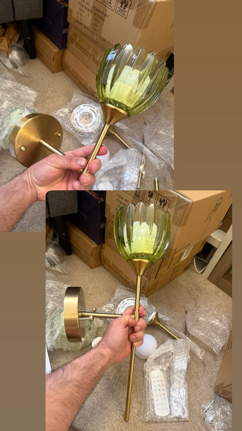 Wall Sconce Set lights - photo 3