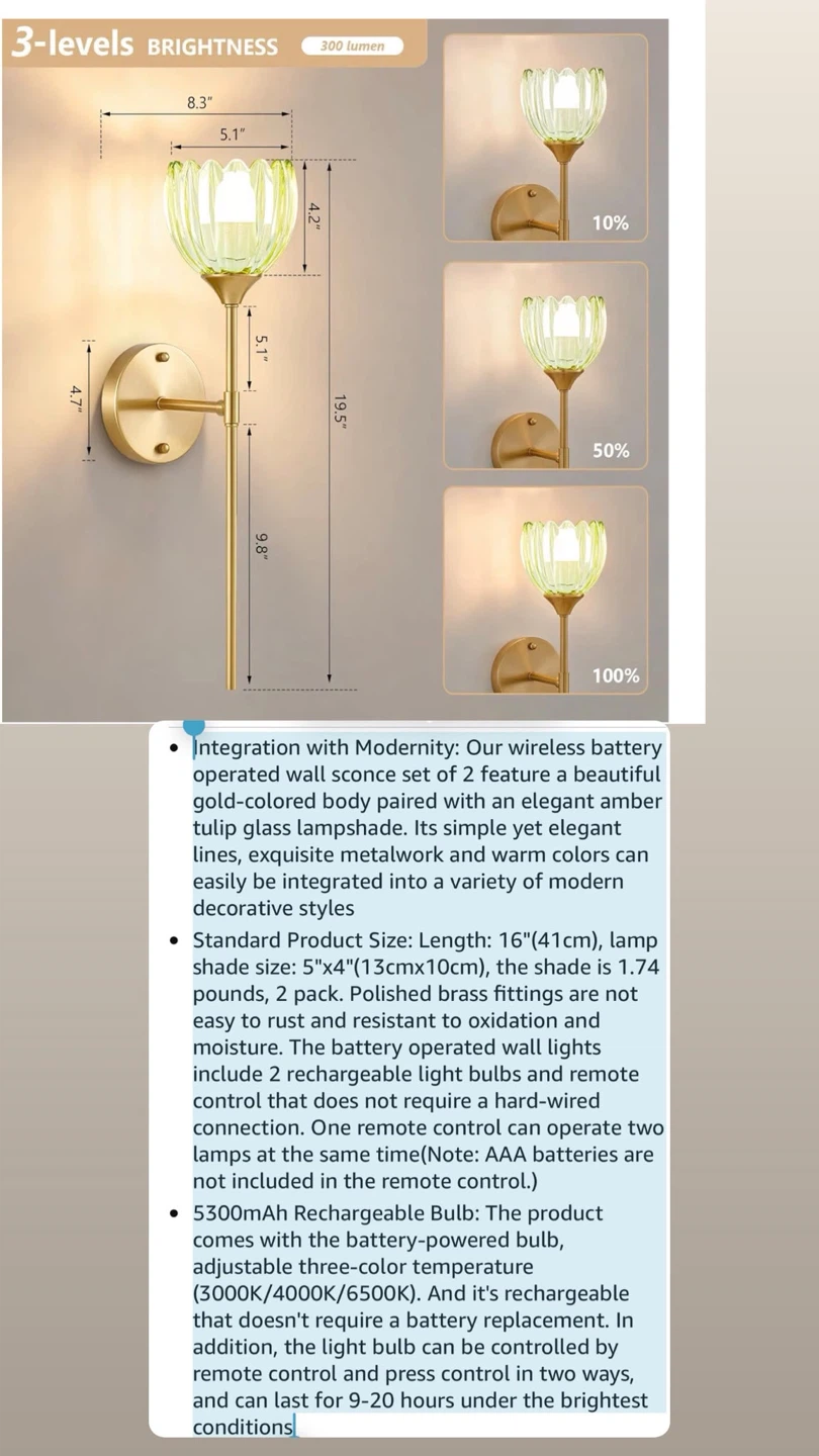 Wall Sconce Set lights - photo 5