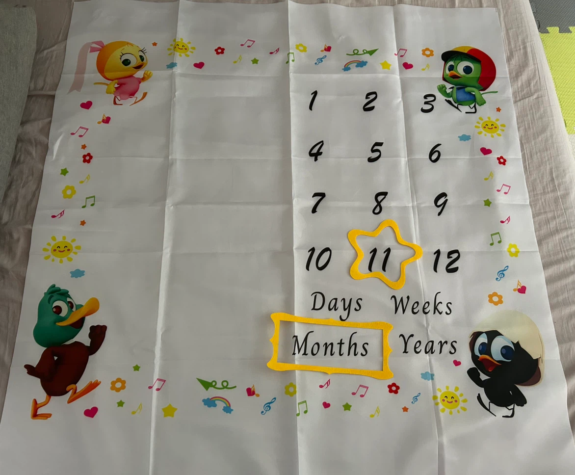 Baby Milestone Photo Blanket