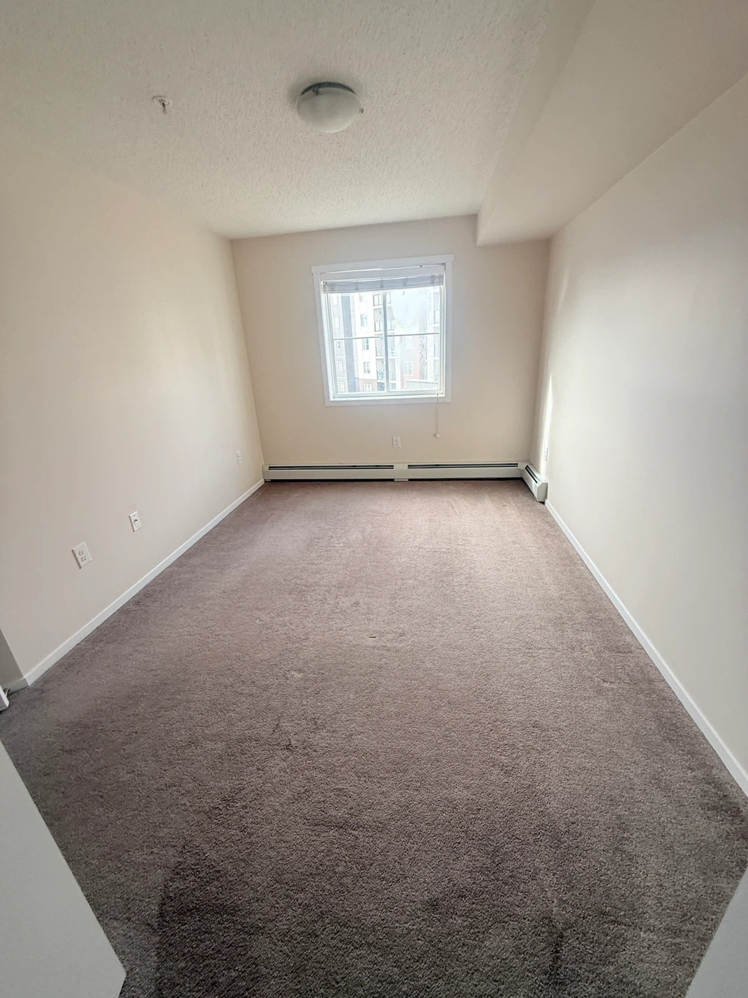 Apartment Rental - photo 5