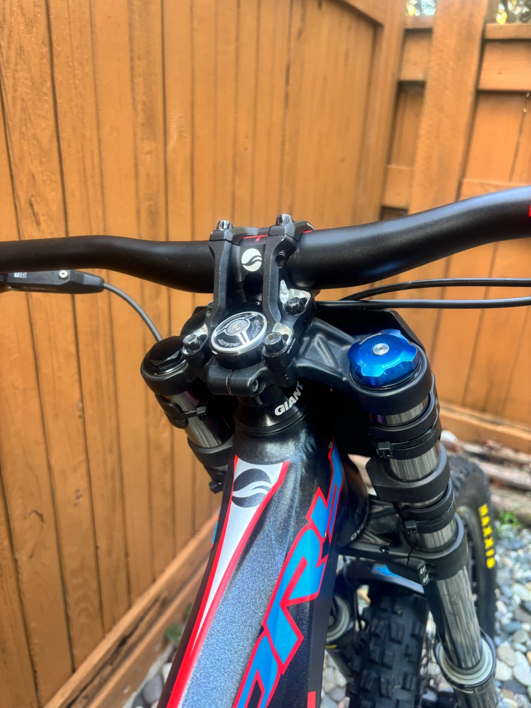 Giant Glory 8.0 Downhill Mountain Bike - photo 3
