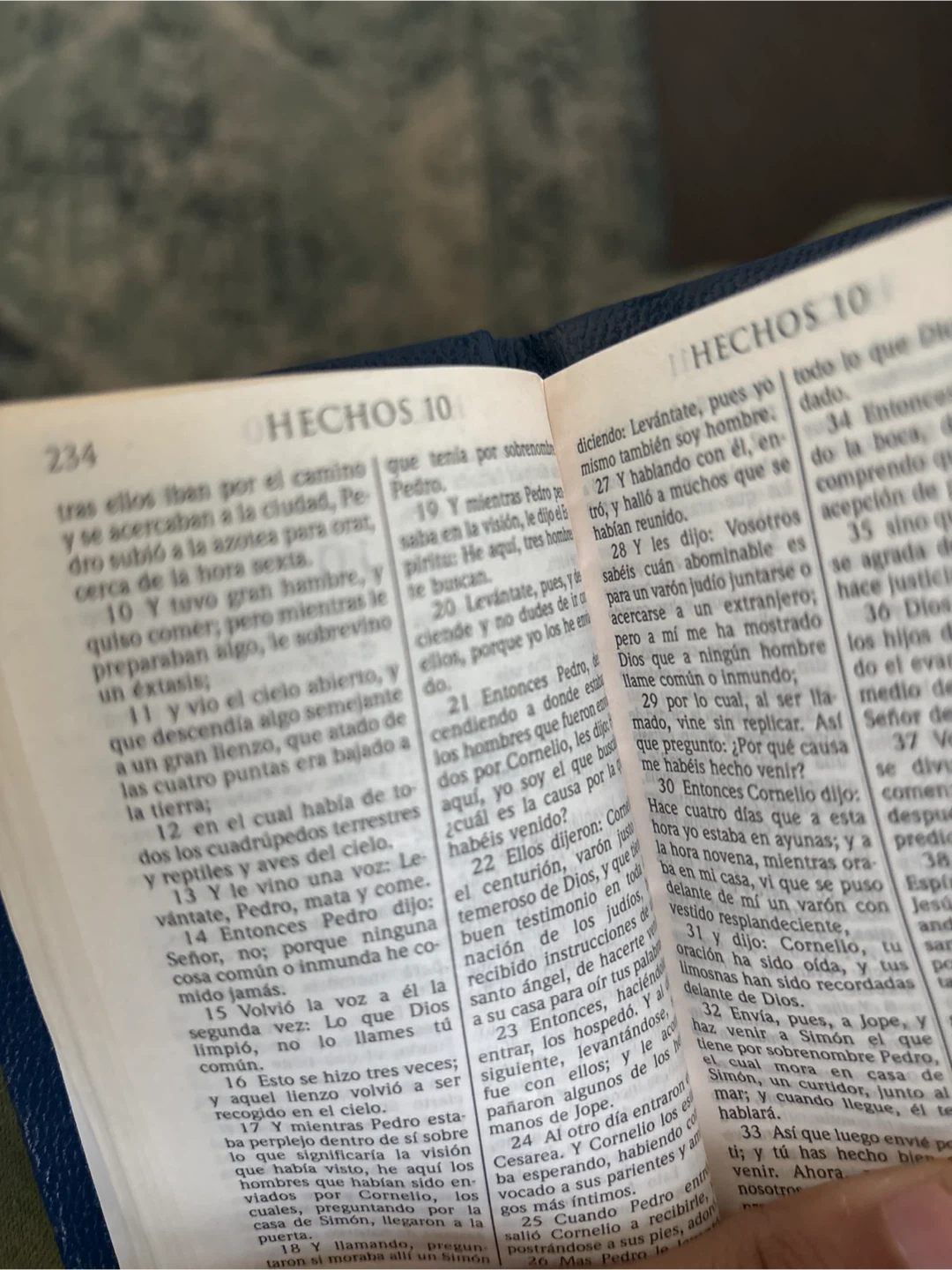 Fully Spanish mini bible - photo 2
