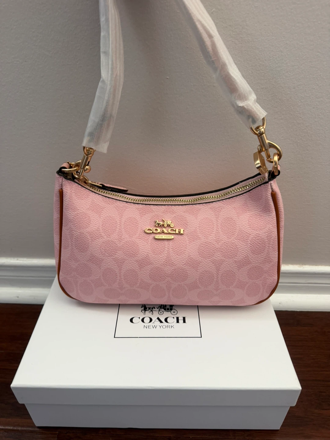 Coach terri purse
