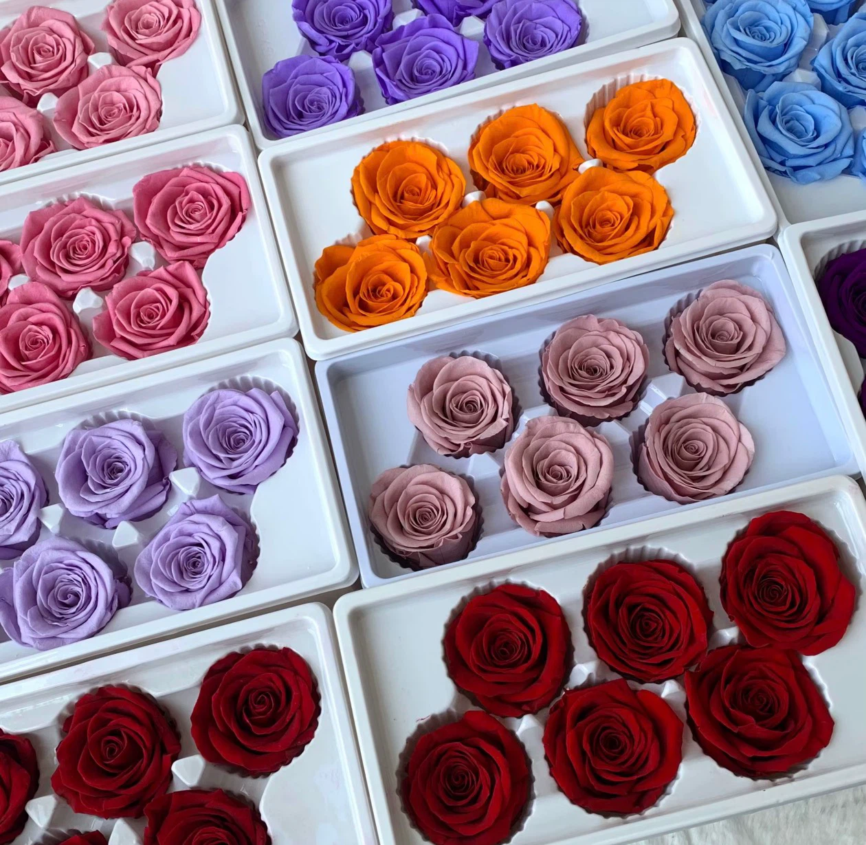 🔥 BUSINESS CLEAROUT! 150+ ETERNAL ROSE BOXES — ONLY $400! 🌹