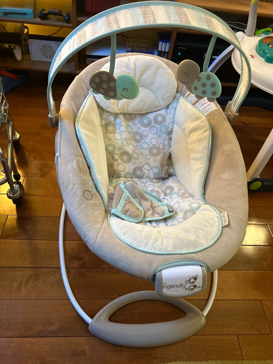 Ingenuity Baby Bouncer