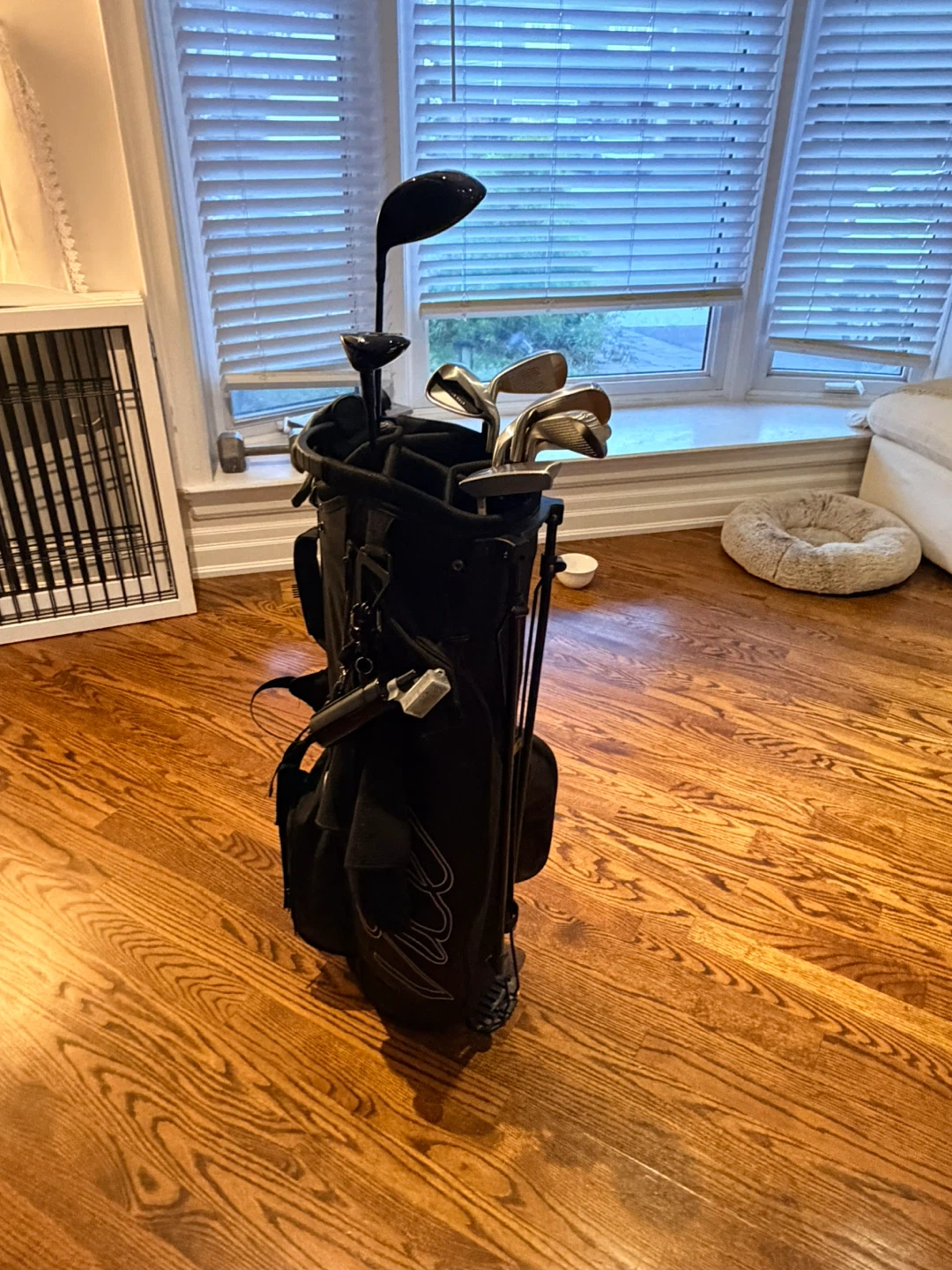 Vice Golf Stand Bag and Clubs