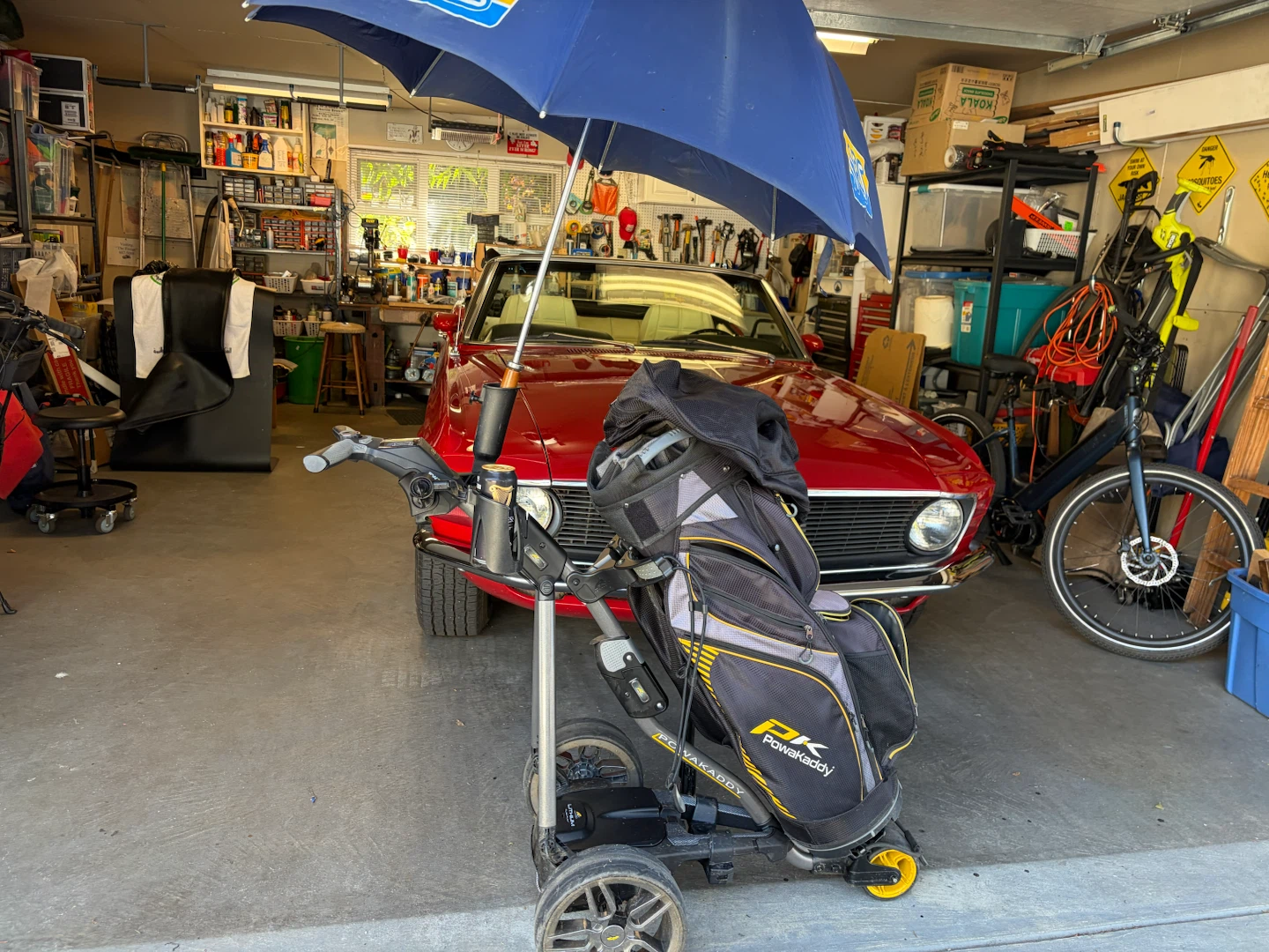 Electric Golf Cart and Bag
