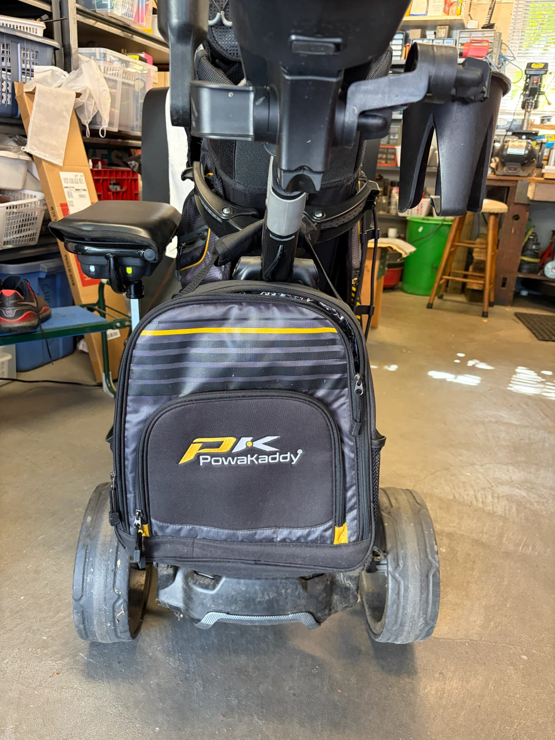 Electric Golf Cart and Bag - photo 4
