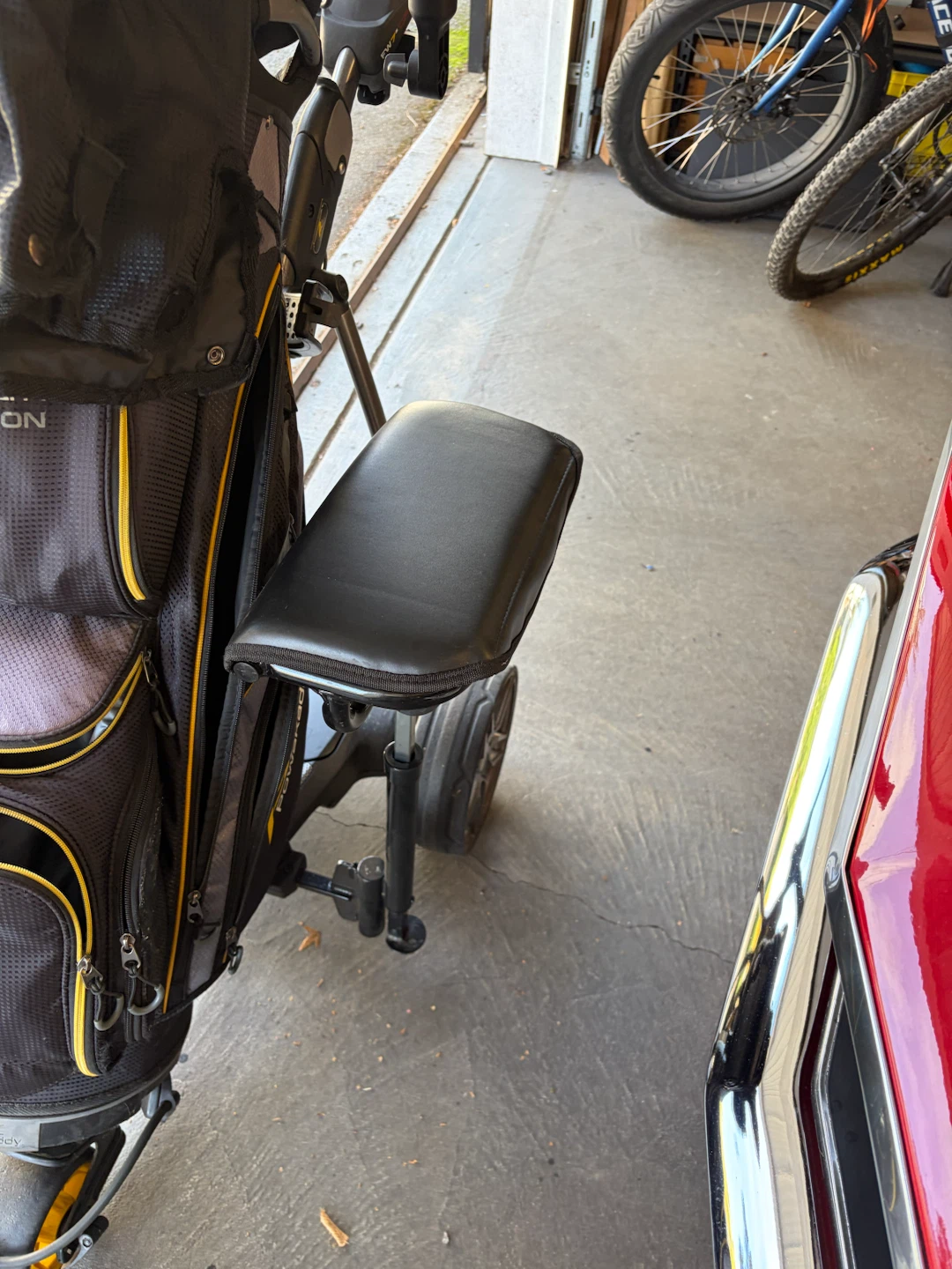 Electric Golf Cart and Bag - photo 5