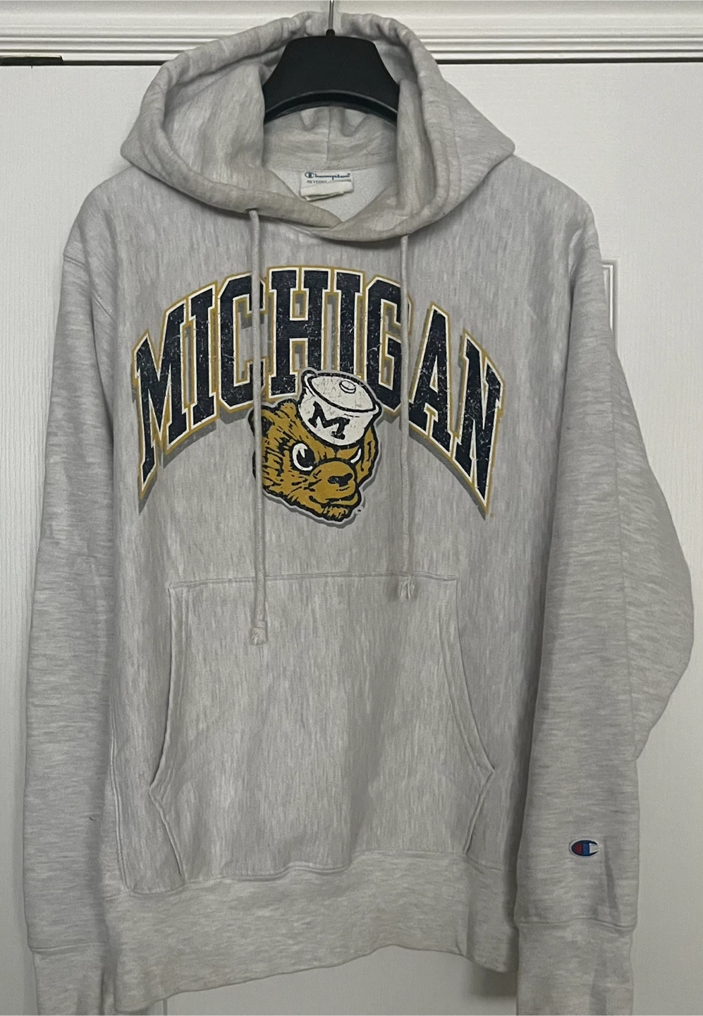 Champion Reverse Weave Michigan Hoodie - Medium