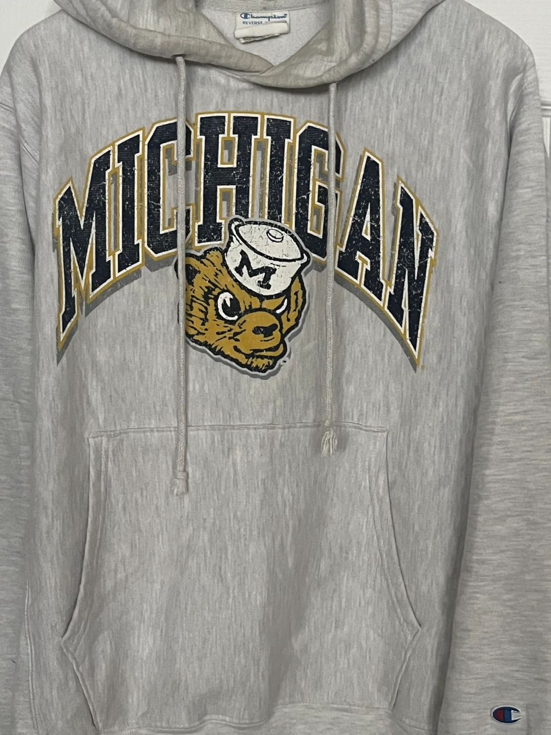 Champion Reverse Weave Michigan Hoodie - Medium - photo 2