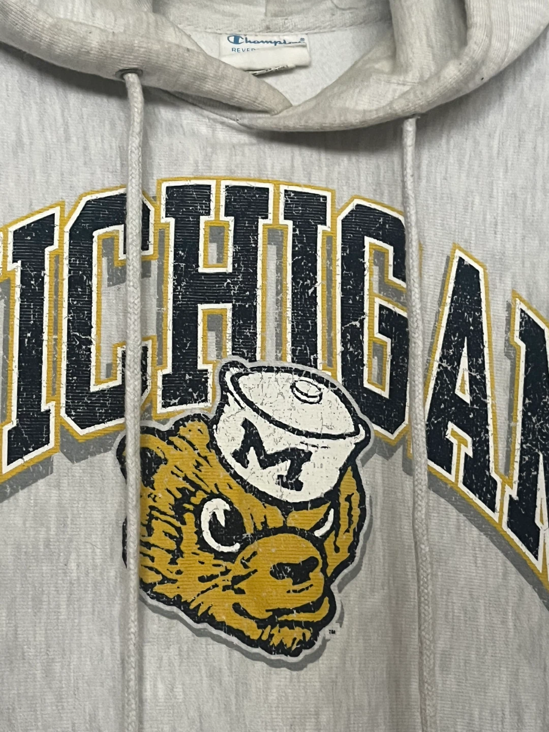 Champion Reverse Weave Michigan Hoodie - Medium - photo 3