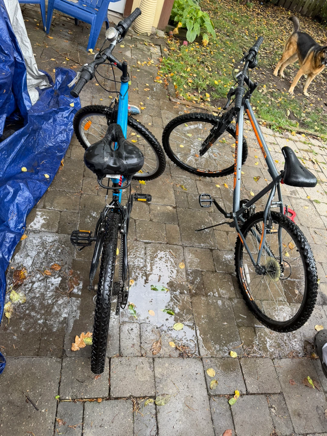 Two Supercycle Mountain Bikes