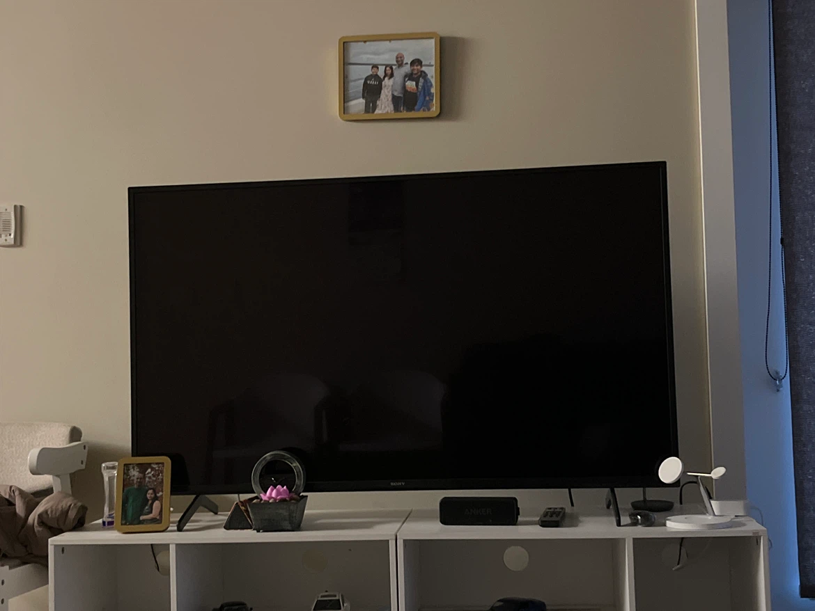 Sony 65-inch LED Television