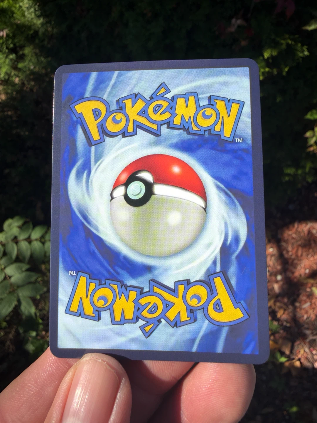Pikachu with Grey Felt Hat Promo Card - photo 3