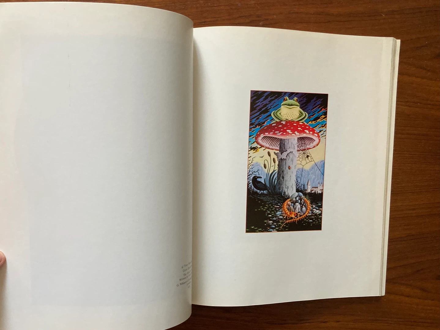 Vintage 1970s Fantasy Art Book - photo 4