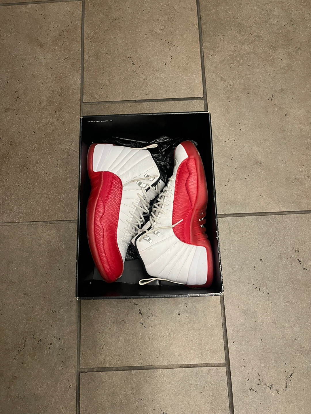 Air Jordan 12 Cherry