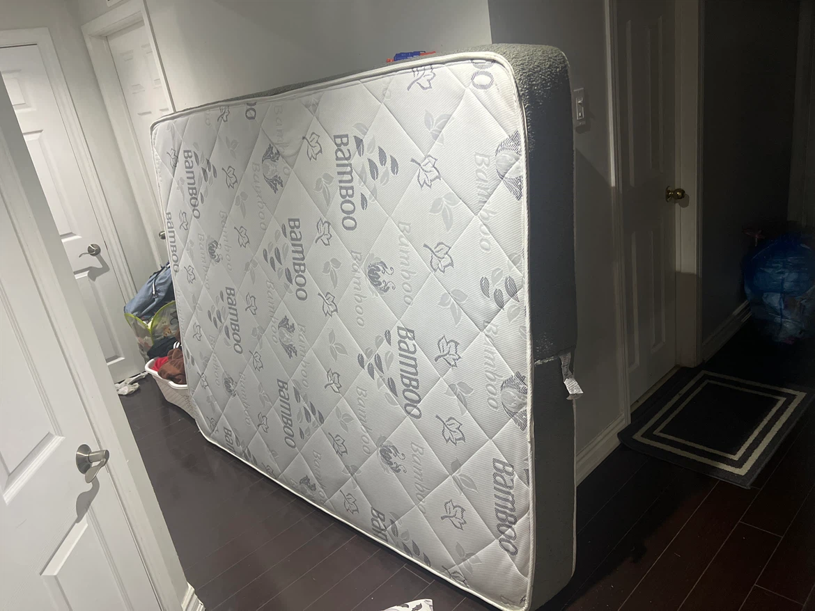 Bamboo Queen Mattress