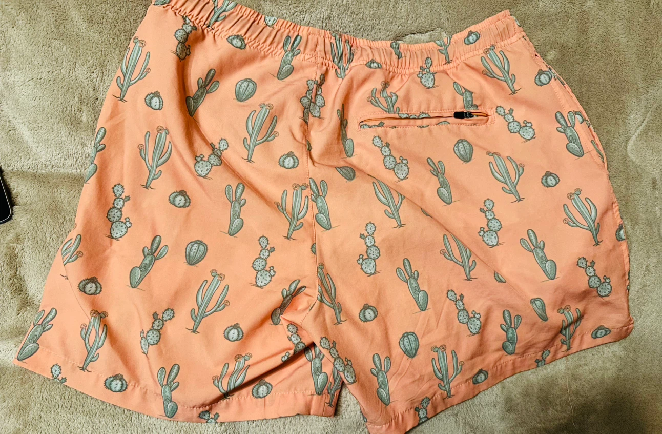 Bearbottom Clothing Cactus Print Swim Shorts - photo 4