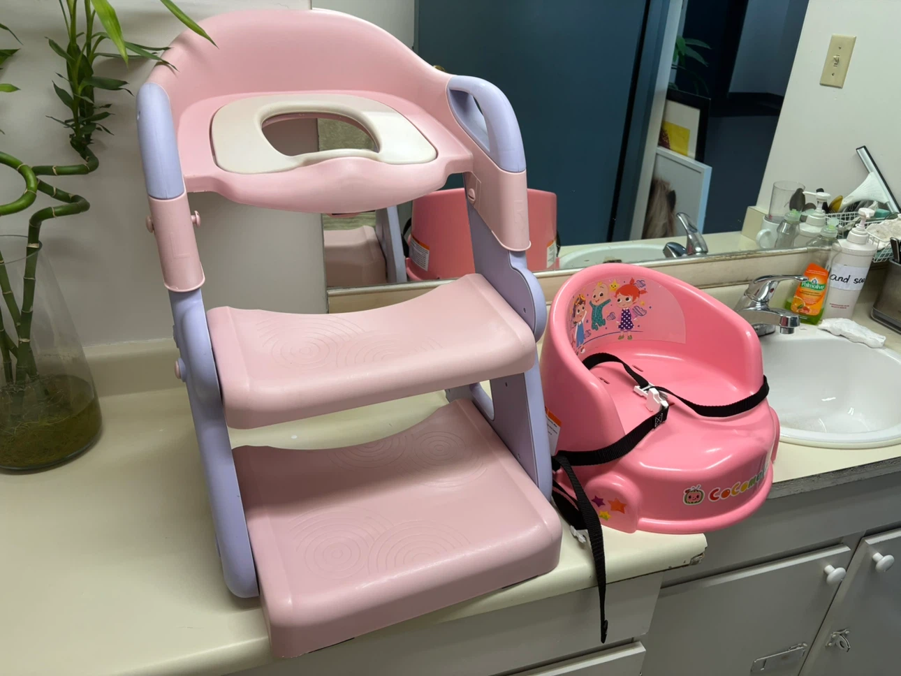 Step stool and chair 10 dollars for all