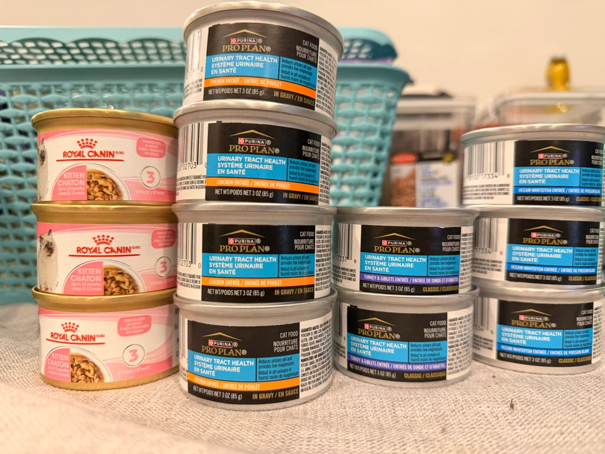 Assorted Purina Pro Plan and Royal Canin Cat Food