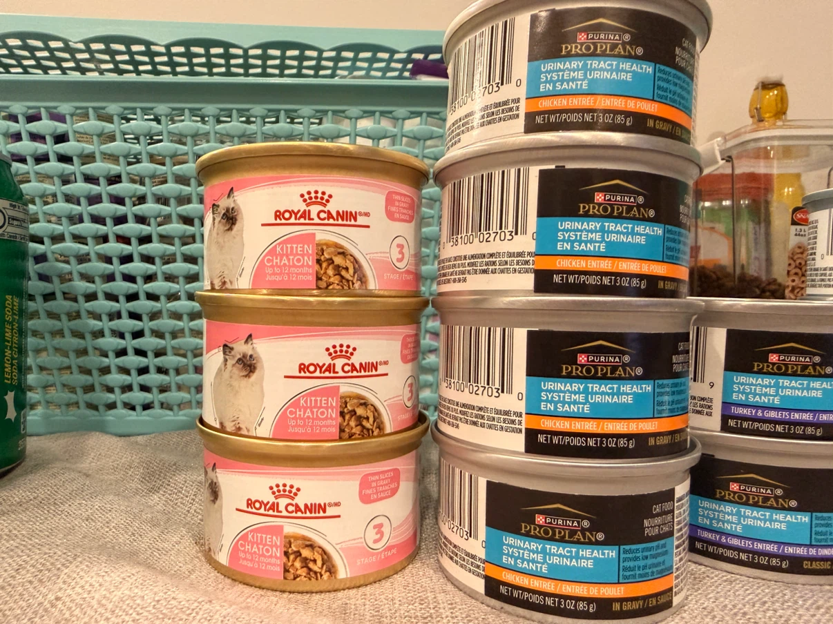 Assorted Purina Pro Plan and Royal Canin Cat Food - photo 3