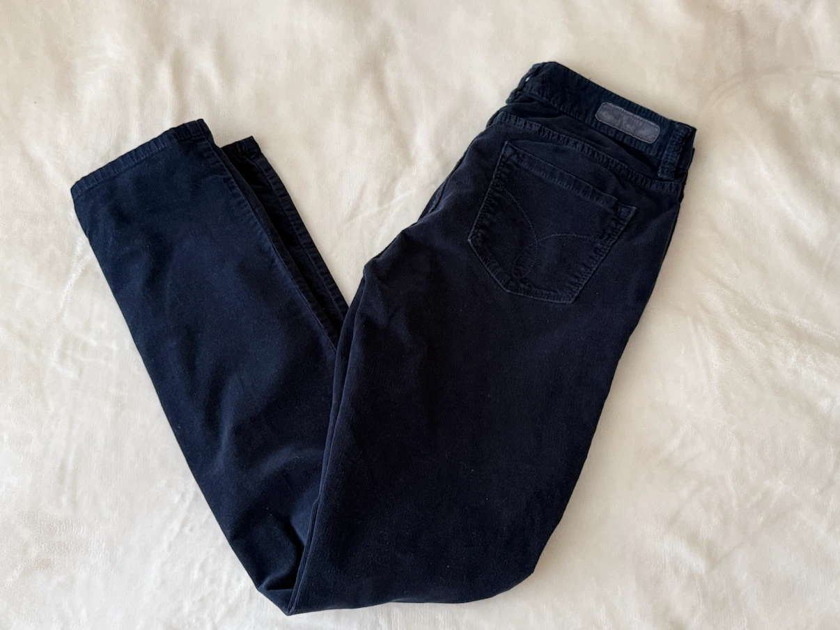 Calvin Klein Dark Blue Velvet Pants – Size 4/27
