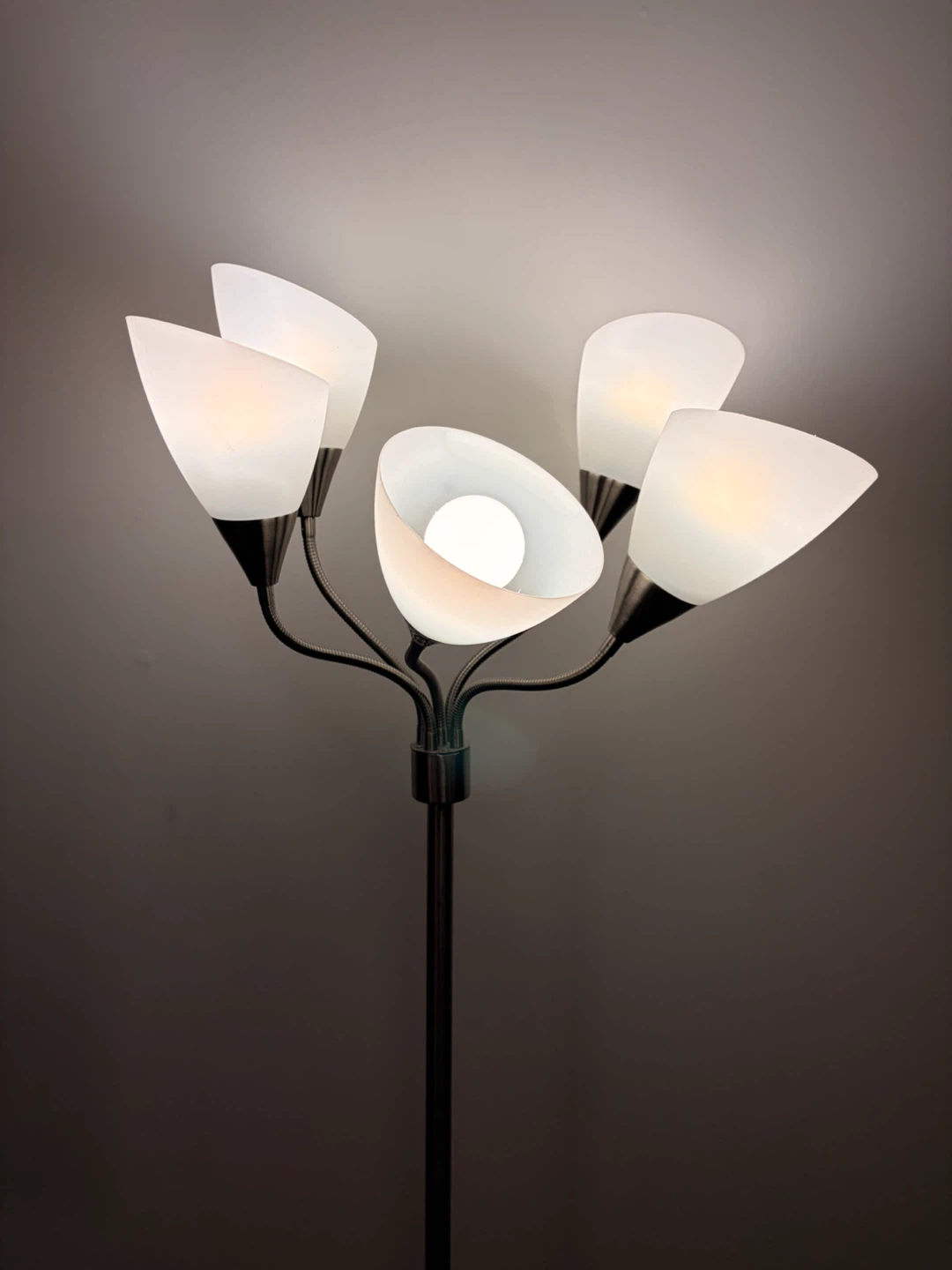 Five-Head Floor Lamp
