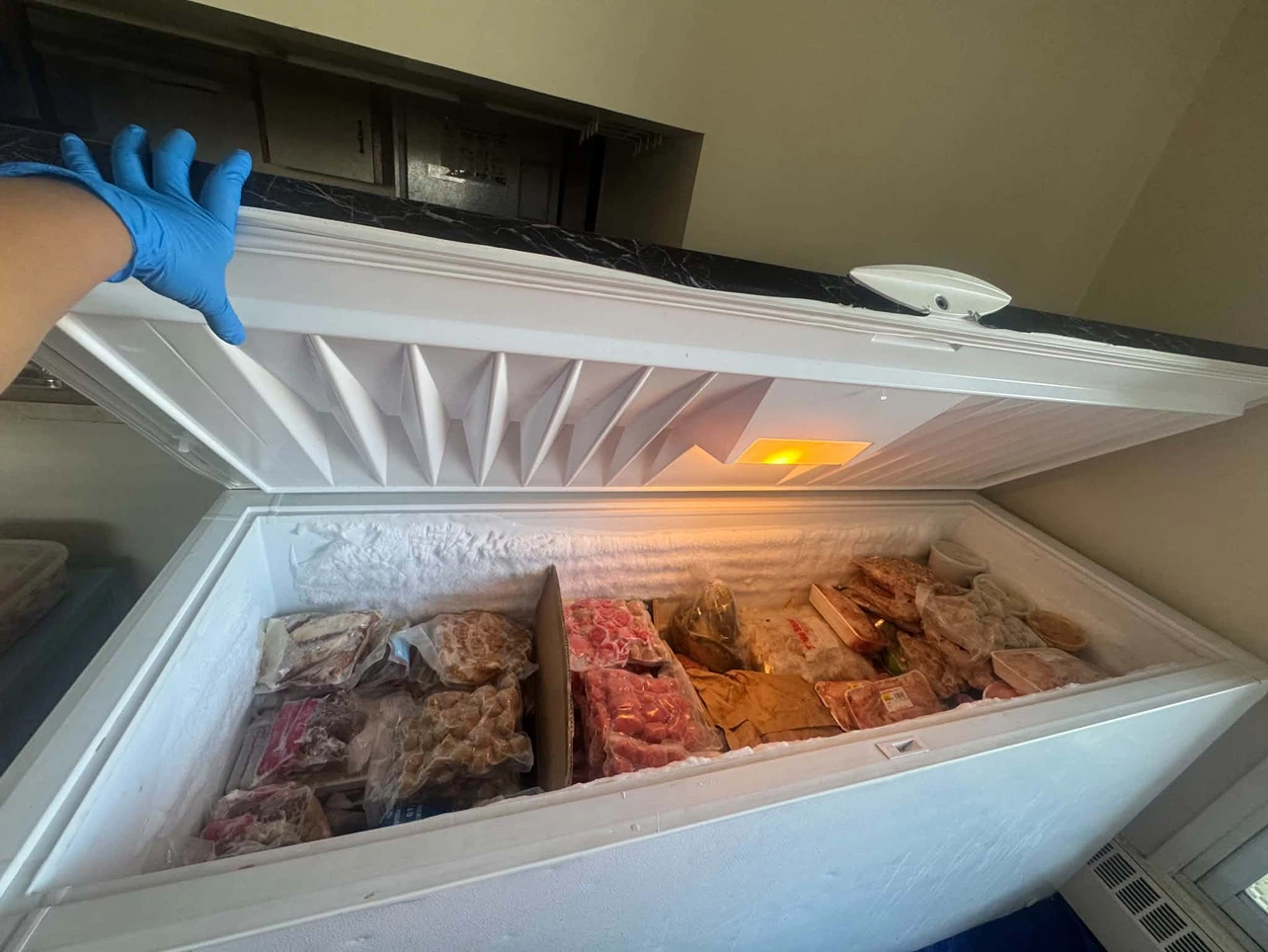 Electrolux Chest Freezer - photo 2