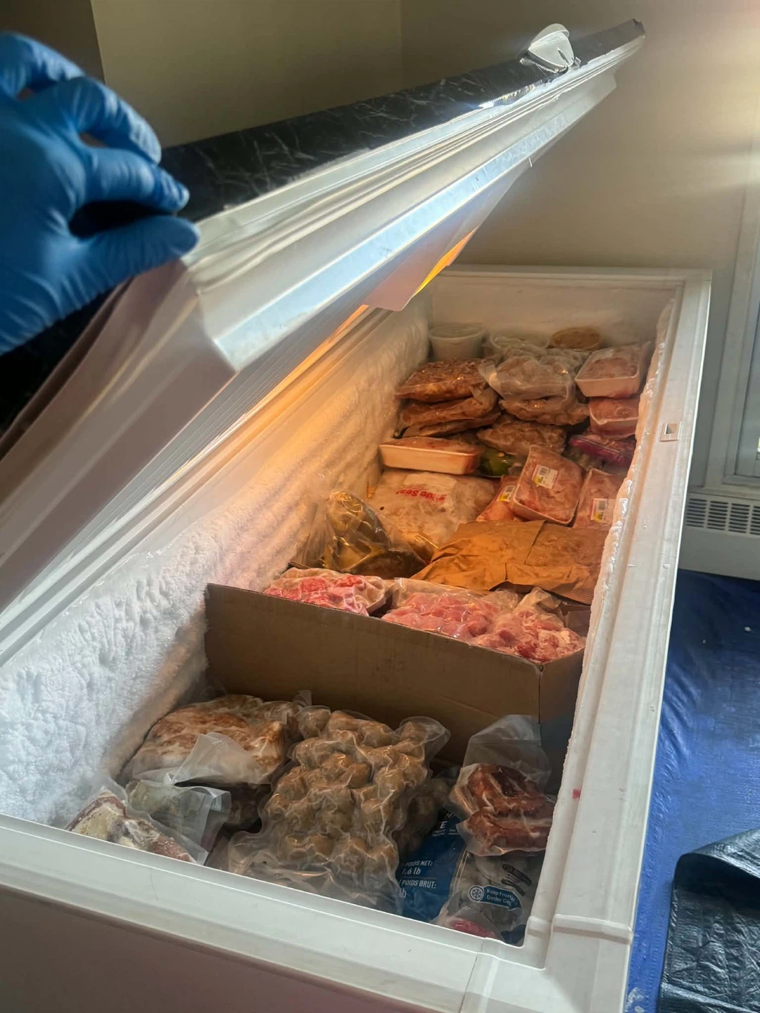 Electrolux Chest Freezer - photo 3