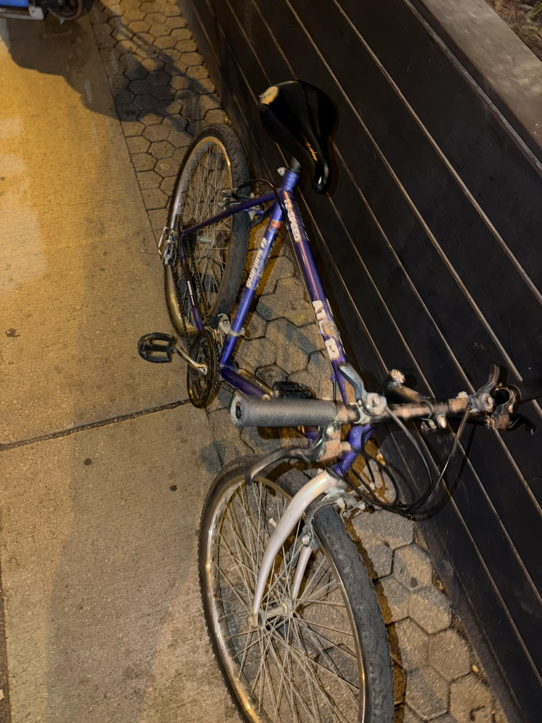 Barletta 12-Speed Bicycle
