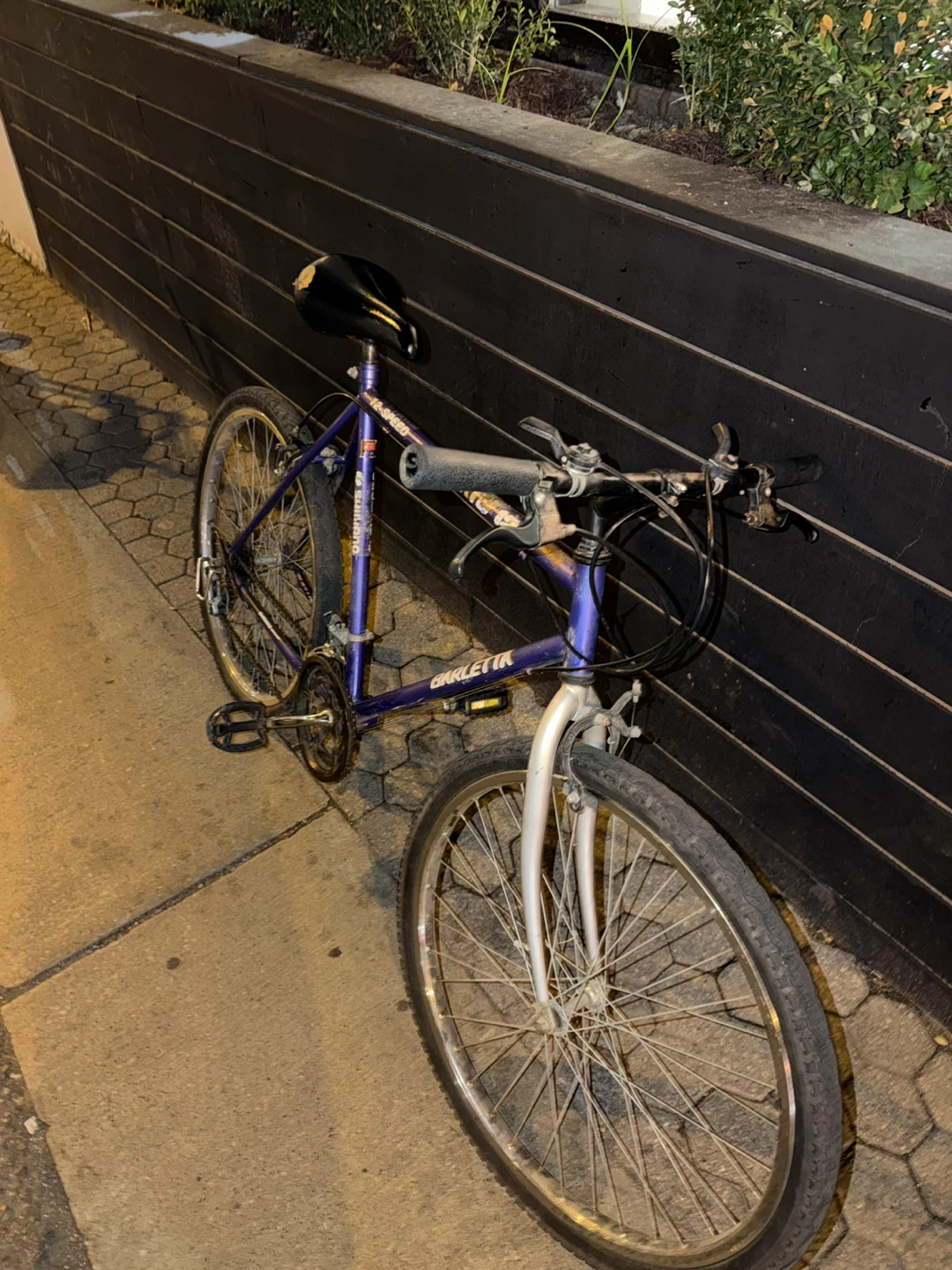 Barletta 12-Speed Bicycle - photo 2